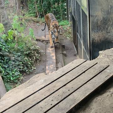 関東のおすすめ動物園35選 ふれあい体験できる所から安くて面白い動物公園や観光牧場も 子連れのおでかけ 子どもの遊び場探しならコモリブ