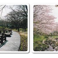 維新百年記念公園 の写真 (1)