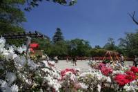 長峰公園（ながみねこうえん） の写真 (2)