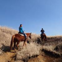 アイランドリゾート阿蘇　エル・パティオ牧場 阿蘇ホーストレッキング（乗馬） の写真 (2)