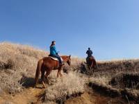 アイランドリゾート阿蘇　エル・パティオ牧場 阿蘇ホーストレッキング（乗馬） の写真 (2)