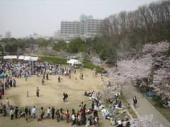 神戸子連れにおすすめの公園特集 人気の公園から穴場まで 子連れのおでかけ 子どもの遊び場探しならコモリブ 神戸子連れにおすすめの公園特集 人気の公園から穴場まで 子連れのおでかけ 子どもの遊び場探しならコモリブ