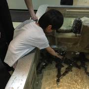 関東の水族館人気ランキング8。家族やカップルにおすすめ！